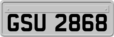 GSU2868