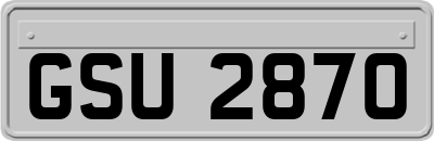 GSU2870