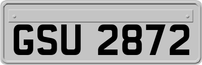 GSU2872