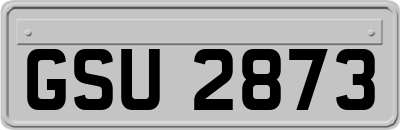 GSU2873