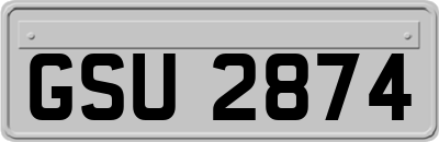 GSU2874