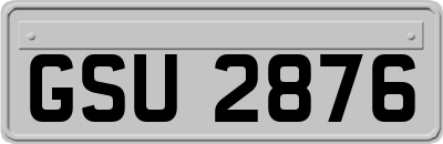 GSU2876