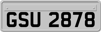 GSU2878