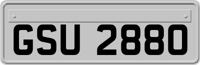 GSU2880