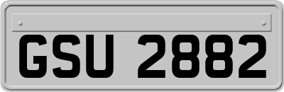 GSU2882