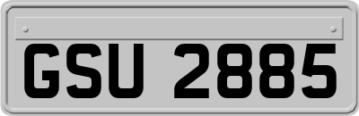 GSU2885