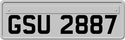 GSU2887