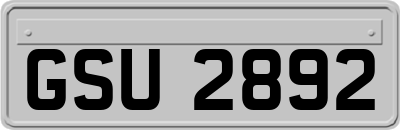 GSU2892