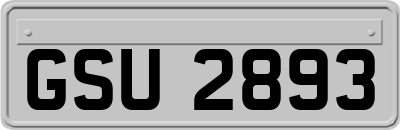 GSU2893