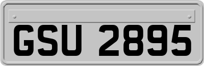 GSU2895