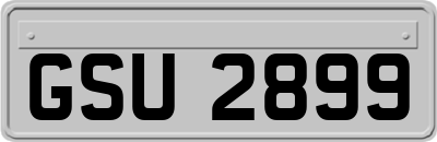 GSU2899