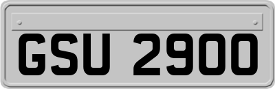 GSU2900