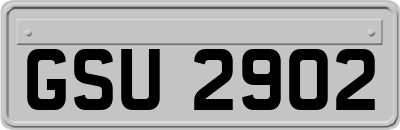 GSU2902