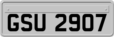 GSU2907