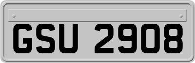 GSU2908