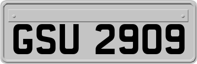 GSU2909