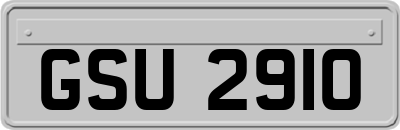 GSU2910