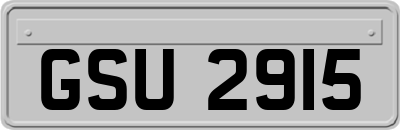 GSU2915