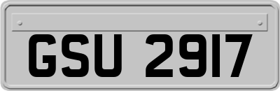 GSU2917