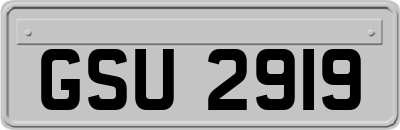 GSU2919