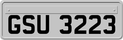 GSU3223