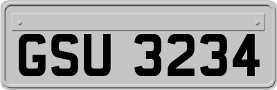 GSU3234