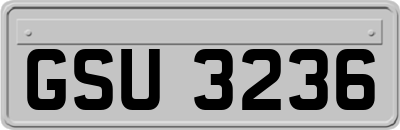 GSU3236