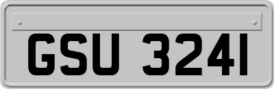 GSU3241