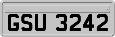 GSU3242