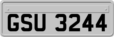 GSU3244