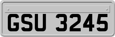 GSU3245