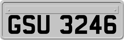 GSU3246