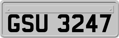 GSU3247