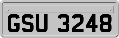 GSU3248