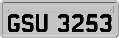 GSU3253