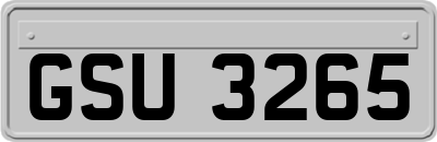 GSU3265