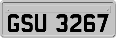 GSU3267