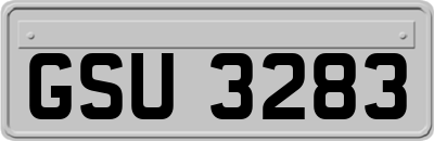 GSU3283