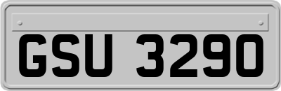 GSU3290