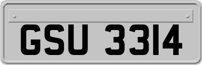 GSU3314