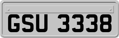 GSU3338
