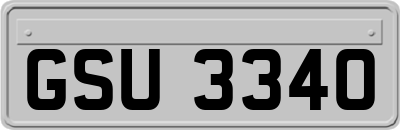 GSU3340