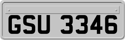 GSU3346