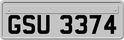 GSU3374