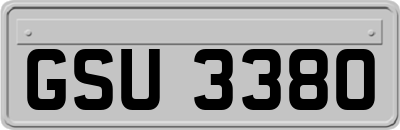 GSU3380