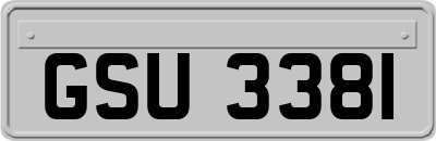 GSU3381