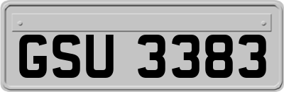 GSU3383