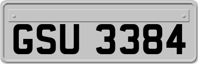 GSU3384
