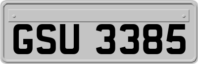 GSU3385
