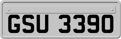 GSU3390